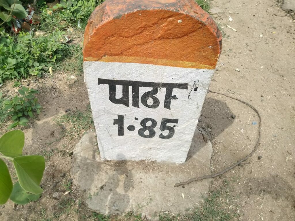 टिड्डी दल ने अचानक फसलों पर हमला बोल दिया