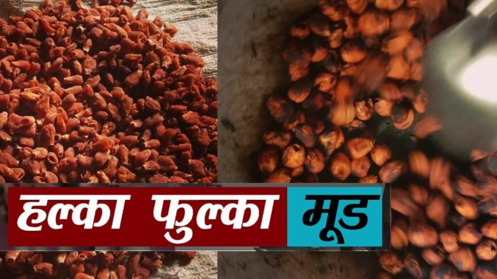 Enjoy the favorite Mahua's lata of Bundelkhand
