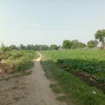 Many gram panchayats of Bundelkhand imprisoned due to lack of way