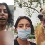 delhi girl attacked