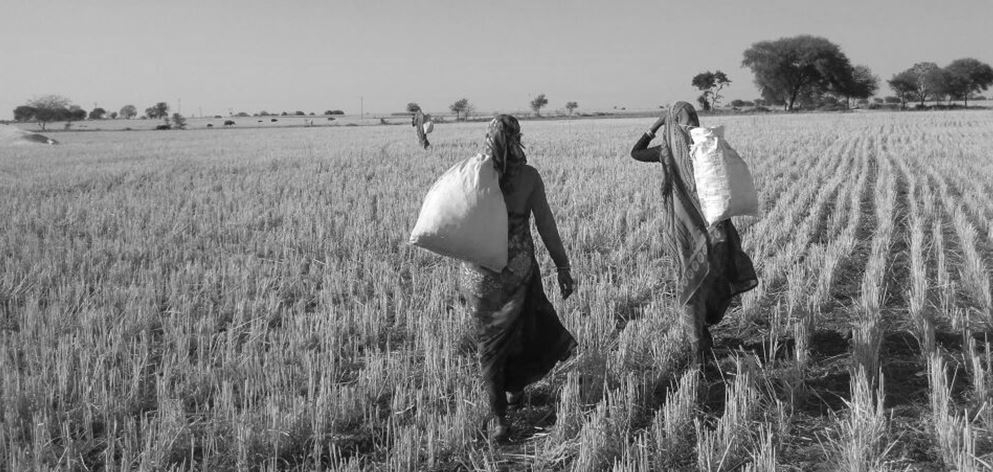 women farmer in lockdown