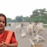 Will the government be able to stop the gathering of Anna animals?