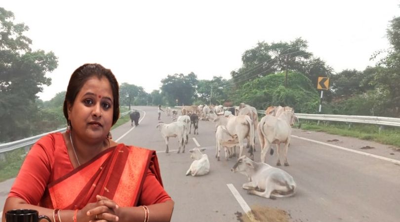 Will the government be able to stop the gathering of Anna animals?