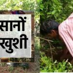 Farmers got saplings under MNREGA scheme