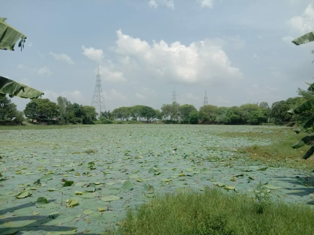 Ghat cleaning has not been done for 15 years