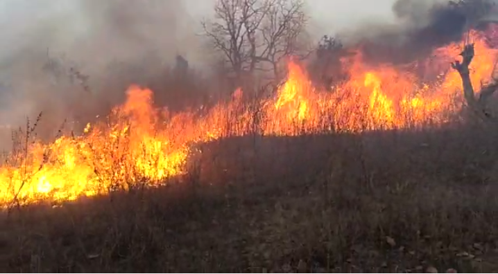 Fire in Bargarh valley IN CHITRAKOOT